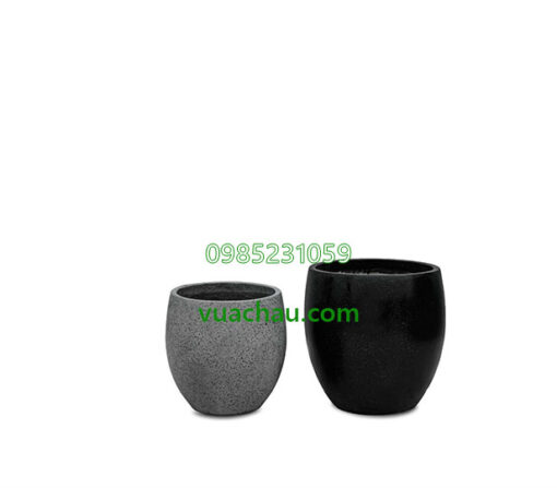 Chậu cảnh phong thủy nội thất