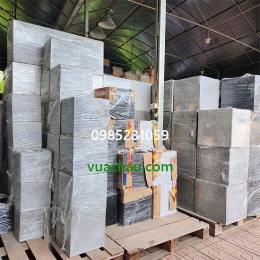 Chậu cây cảnh phong thủy trang trí tiểu cảnh