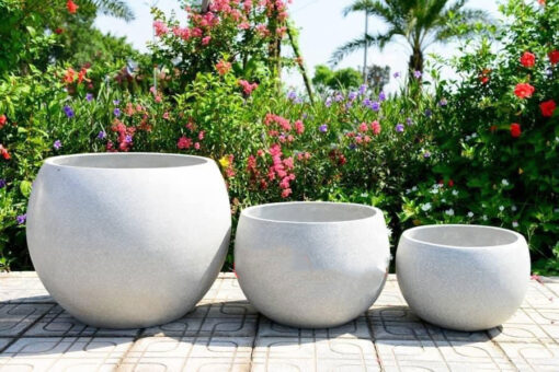 Chậu xi măng phong thuỷ hình chén trà