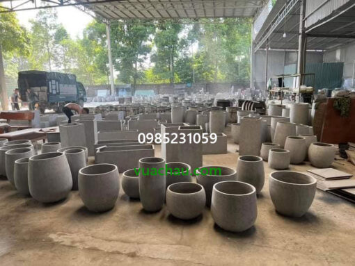 Chậu phong thủy cho văn phòng