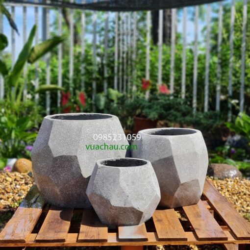 Chậu phong thủy trang trí tiểu cảnh